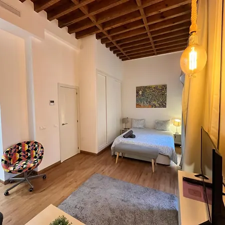 Boutique Larios - Center Apartamento *